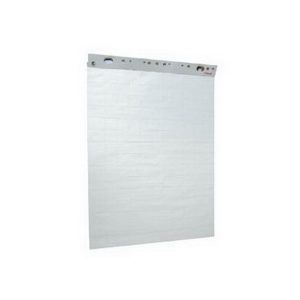 Papīra bloks ESSELTE, 59 x 84 cm, 50 lapas, balts/rūtiņu - 100-00302