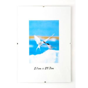 Rāmis stikla 21 x 29.7 cm, bez ārējā rāmja - 200-09115