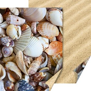 Dekoratīvs kartons 50x70cm Shells-Sand