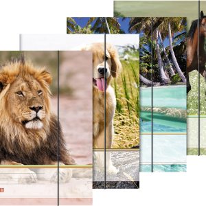 Mape A4 ar gumiju Animals (Zirgs)
