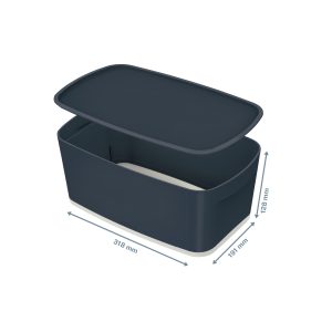 Kaste uzglabāšanai Cosy L MyBox, maza, ar vāku, pelēkā krāsā - 150-03772
