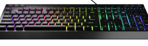 Klaviatūra Genesis Rhod 530 RGB ENG